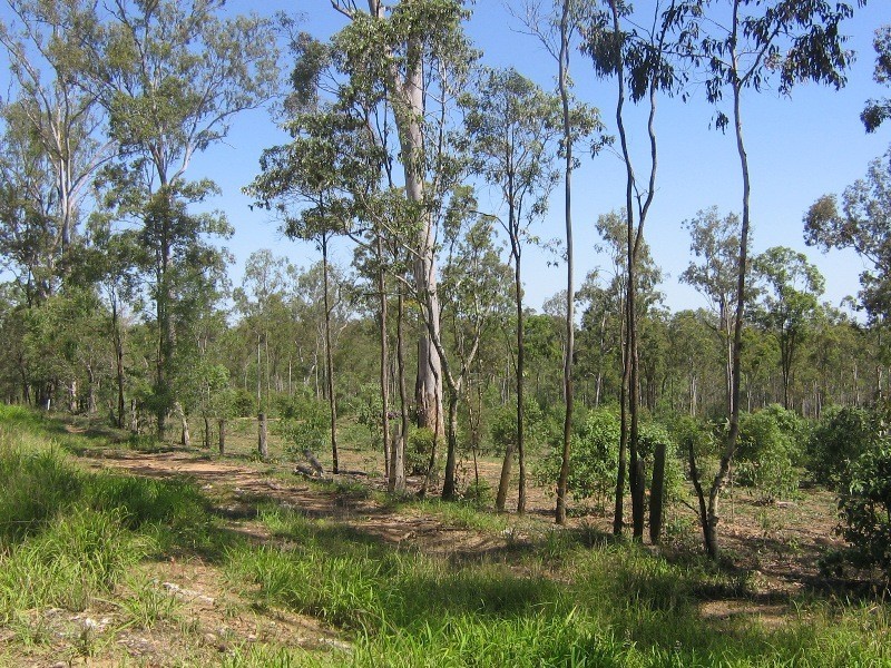 Flinders View QLD 4305