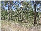 Flinders View QLD 4305