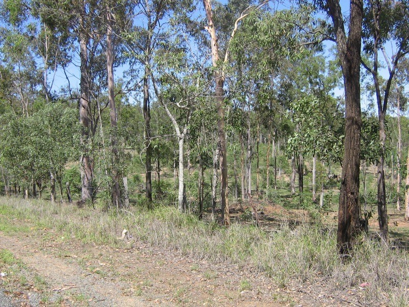 Flinders View QLD 4305