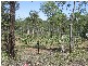 Flinders View QLD 4305