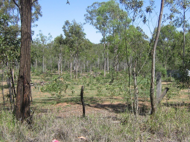 Flinders View QLD 4305