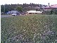 Redbank Plains QLD 4301