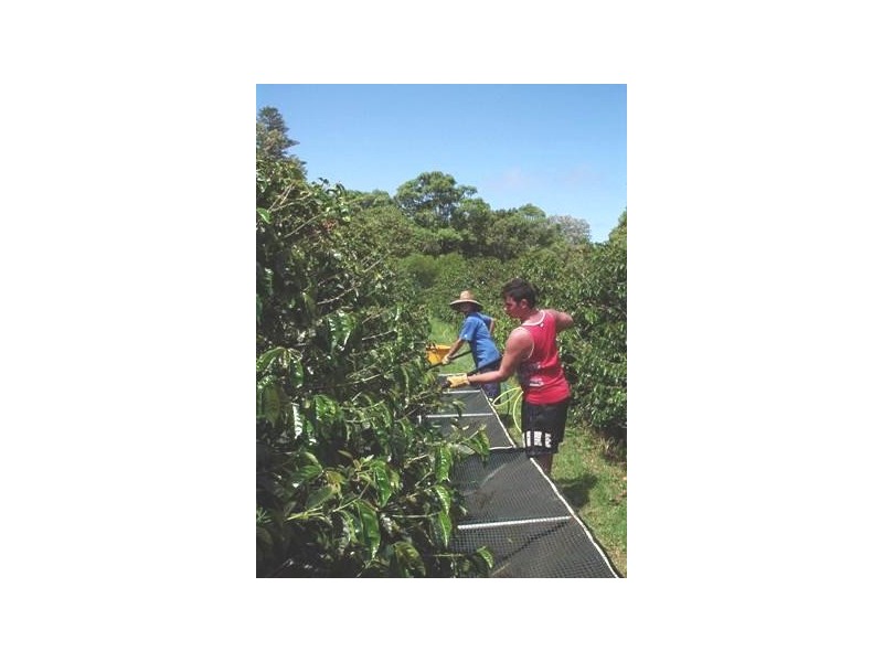 Norfolk Island NSW 2899