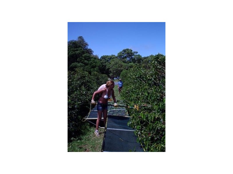 Norfolk Island NSW 2899