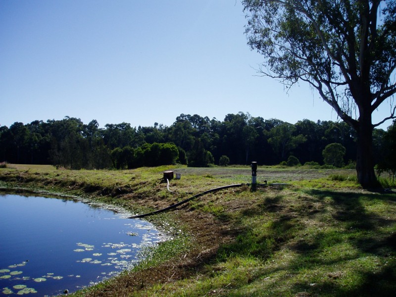 Logan Reserve QLD 4133