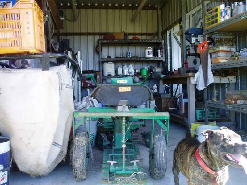 Logan Reserve QLD 4133