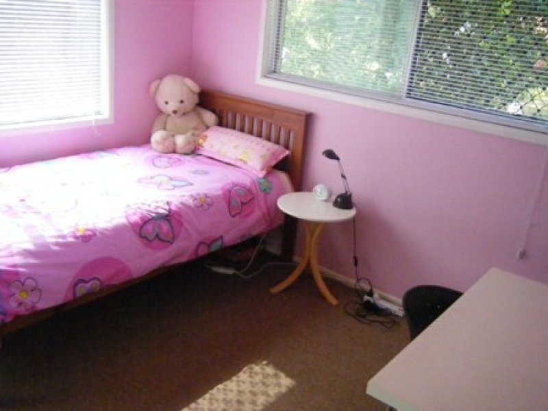 53 Cupania St, Algester QLD 4115