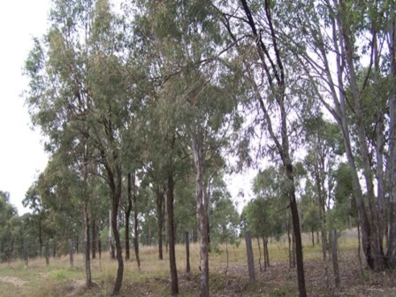 South Ripley QLD 4306