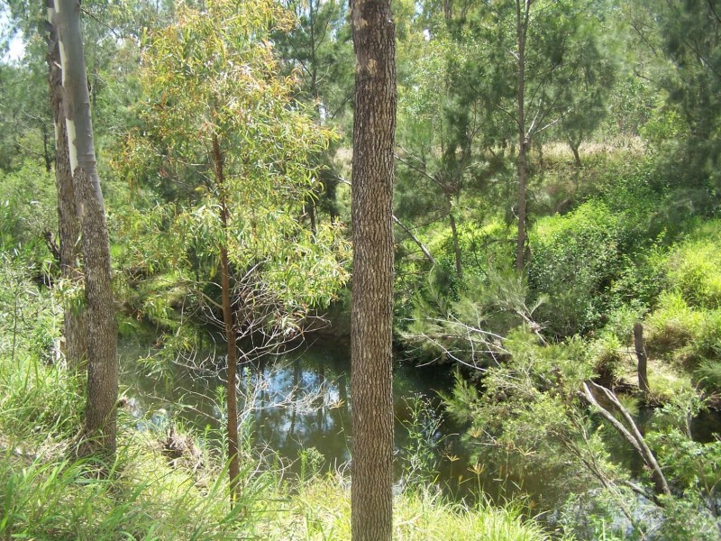 7 Watson Road, South Ripley QLD 4306