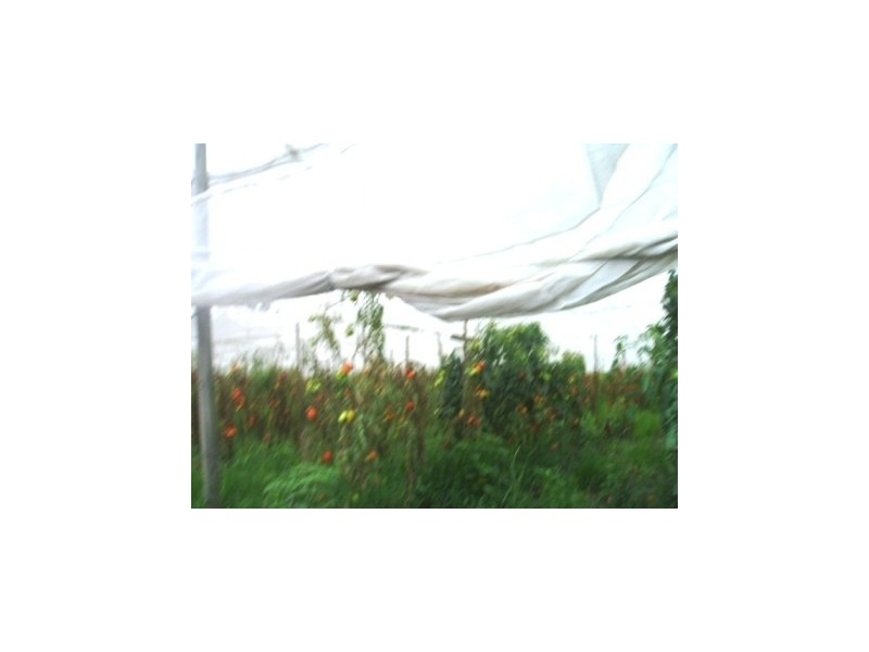 Chambers Flat QLD 4133