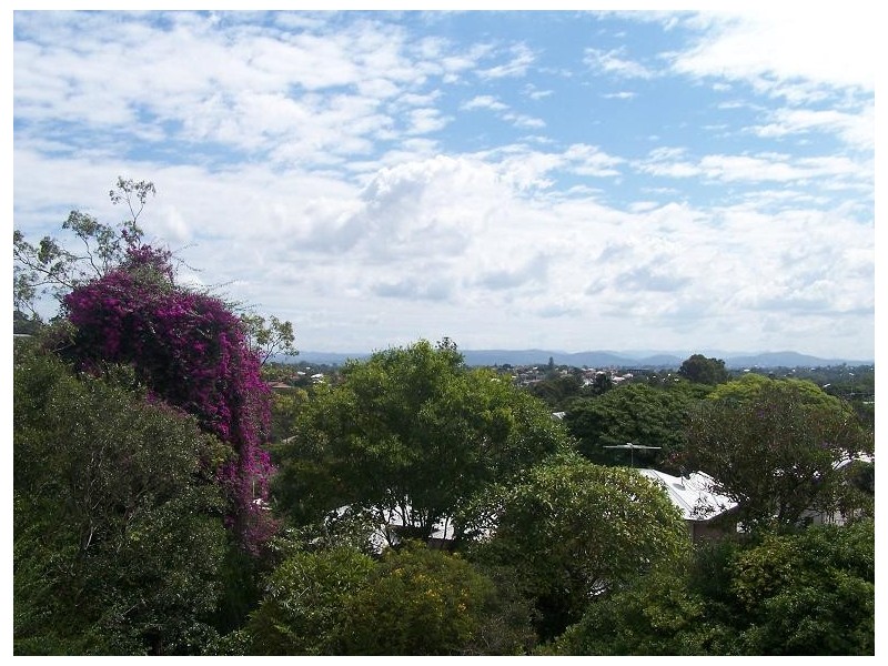 19 Crest St., Mount Gravatt East QLD 4122