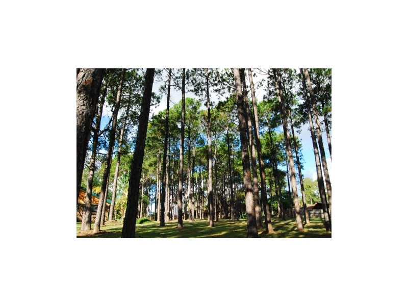 9 Ryder Court, Robina QLD 4226