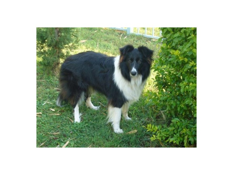 131 The Avenue, Sunnybank Hills QLD 4109