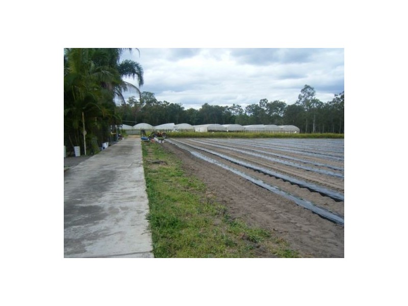 74 Van Dieren Road, Pallara QLD 4110