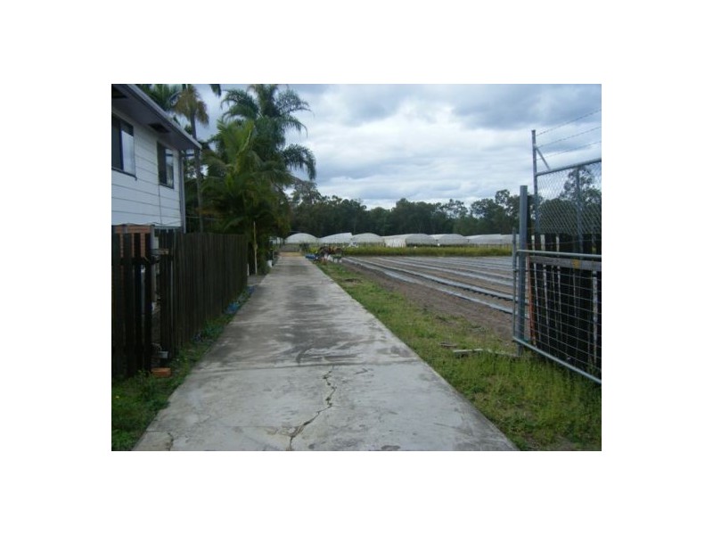 74 Van Dieren Road, Pallara QLD 4110