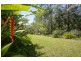 57 Mcdougall Place, Bellingen NSW 2454