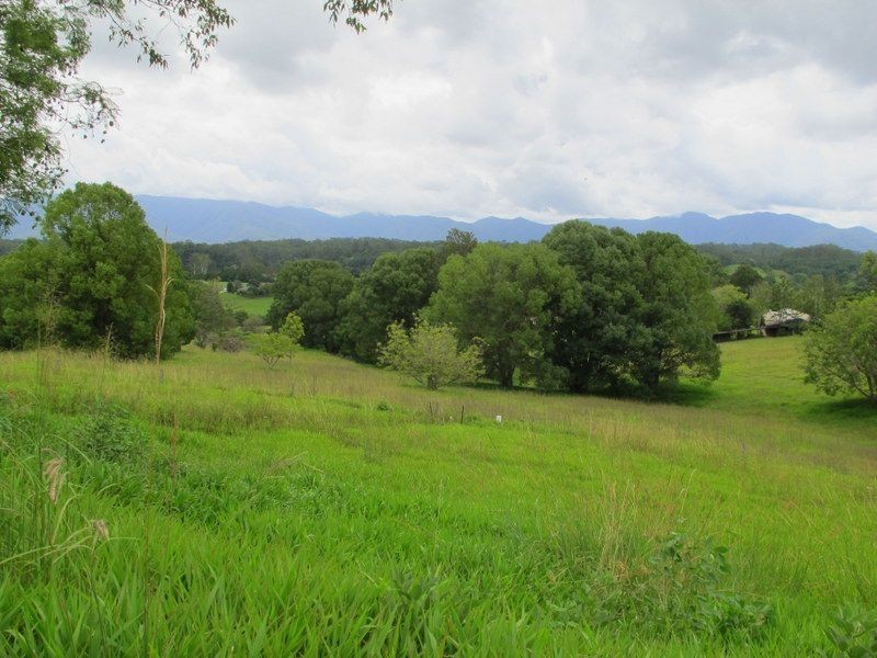 Bellingen NSW 2454