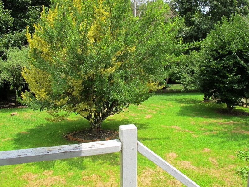 5 Acacia Street, Dorrigo NSW 2453