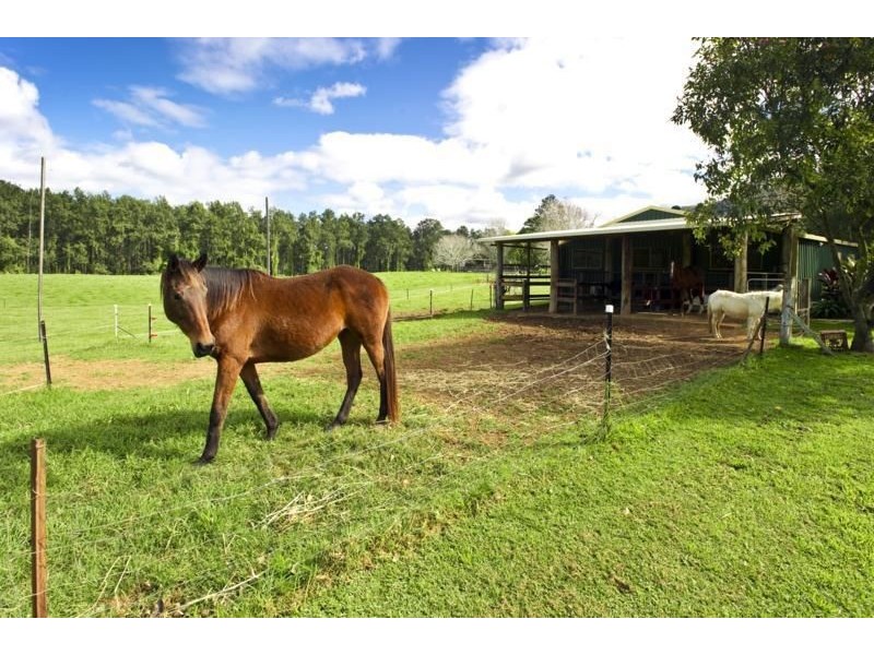 635 Gordonville Road, Bellingen NSW 2454