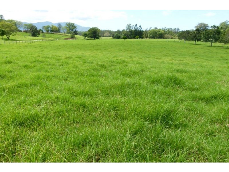635 Gordonville Road, Bellingen NSW 2454
