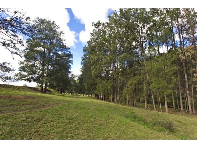 635 Gordonville Road, Bellingen NSW 2454