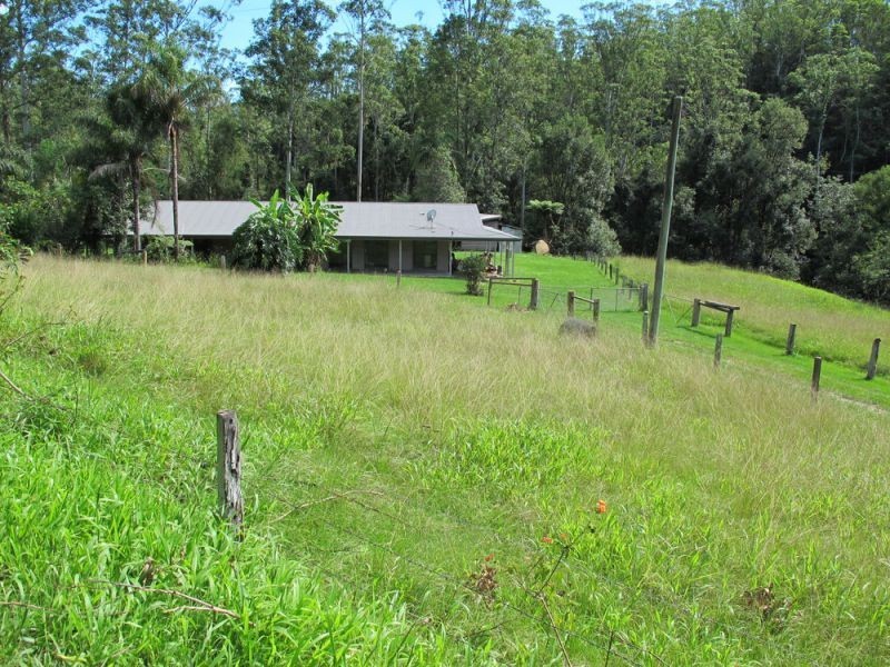 2126 Kalang Road, Bellingen NSW 2454