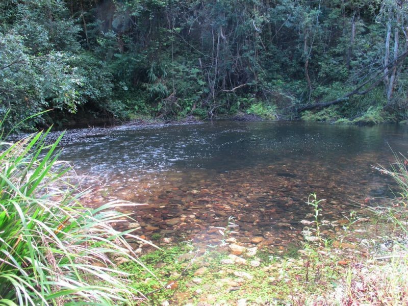 2126 Kalang Road, Bellingen NSW 2454