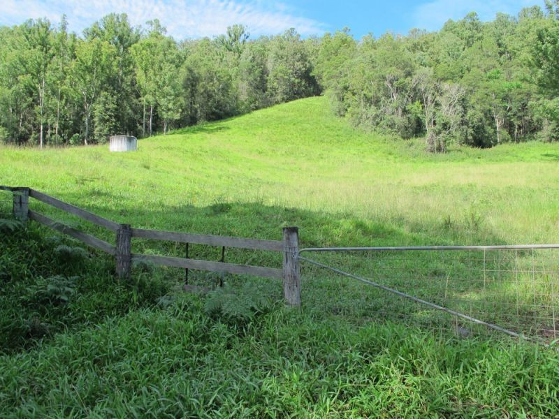 2126 Kalang Road, Bellingen NSW 2454