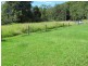 2126 Kalang Road, Bellingen NSW 2454