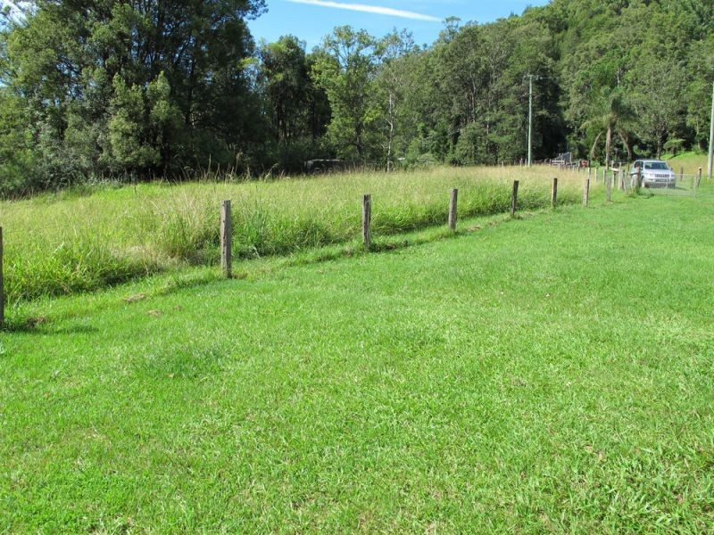 2126 Kalang Road, Bellingen NSW 2454