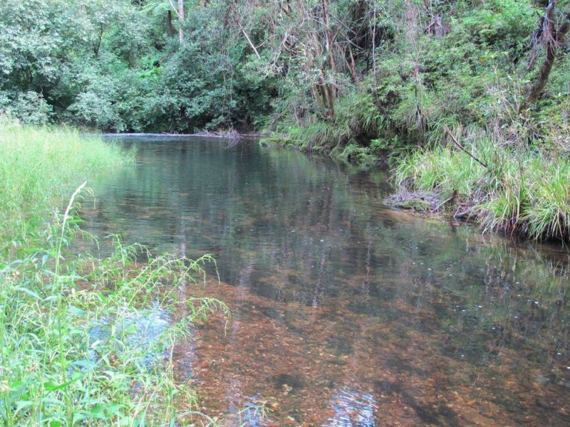 2126 Kalang Road, Bellingen NSW 2454