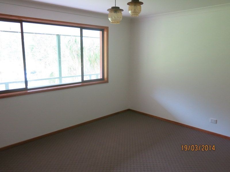 2196 Darkwood Road, Thora NSW 2454
