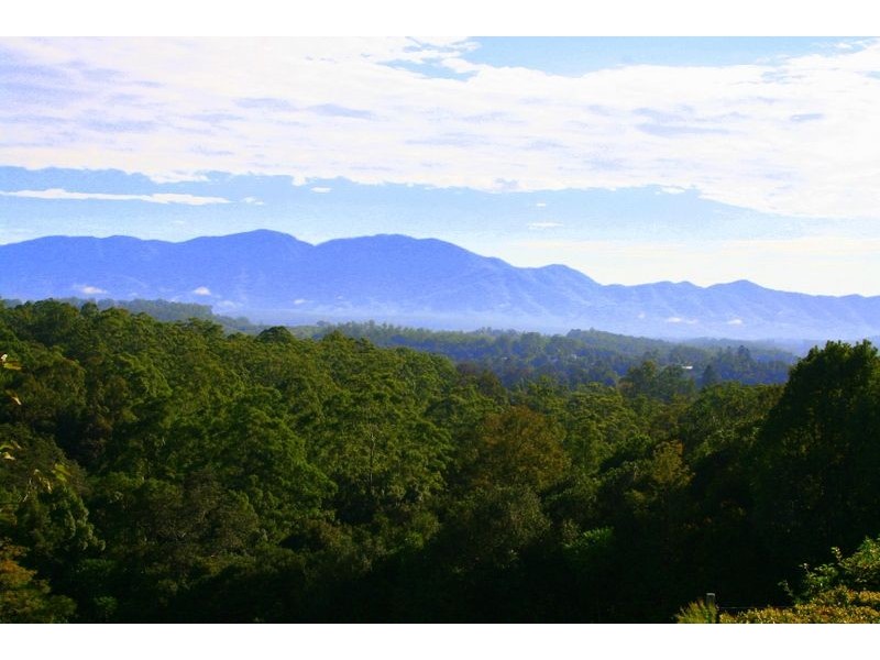 136 Bowraville Rd, Bellingen NSW 2454