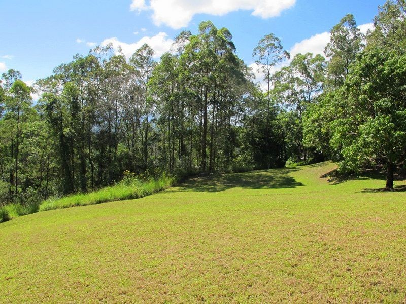 136 Bowraville Rd, Bellingen NSW 2454