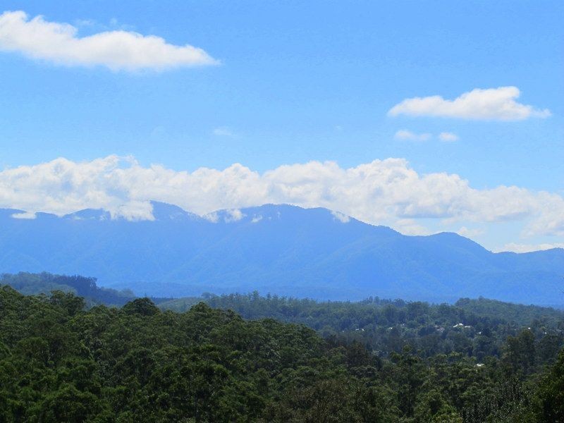 136 Bowraville Rd, Bellingen NSW 2454