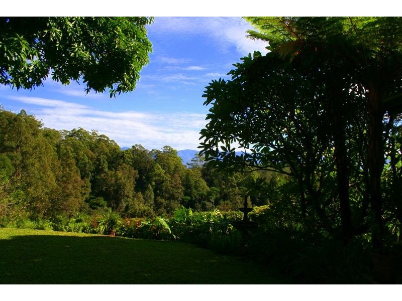 136 Bowraville Rd, Bellingen NSW 2454