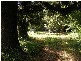 Bellingen NSW 2454