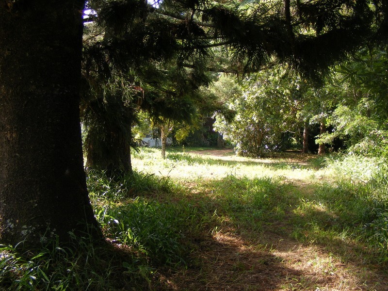 Bellingen NSW 2454