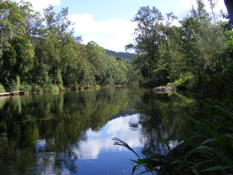 Bellingen NSW 2454