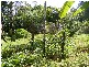 Bellingen NSW 2454