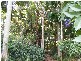 Bellingen NSW 2454