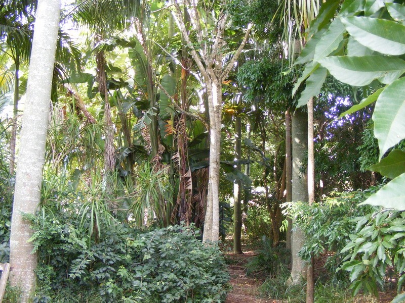 Bellingen NSW 2454