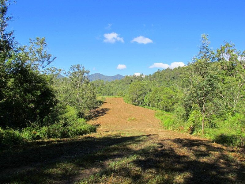 1938 Kalang Road, Bellingen NSW 2454