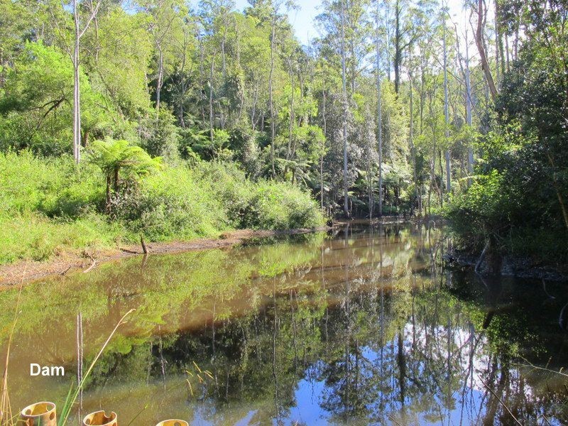 1938 Kalang Road, Bellingen NSW 2454