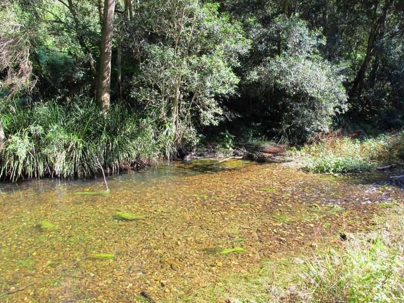 1938 Kalang Road, Bellingen NSW 2454