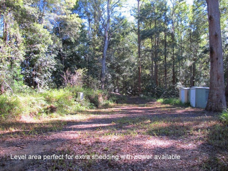 1938 Kalang Road, Bellingen NSW 2454