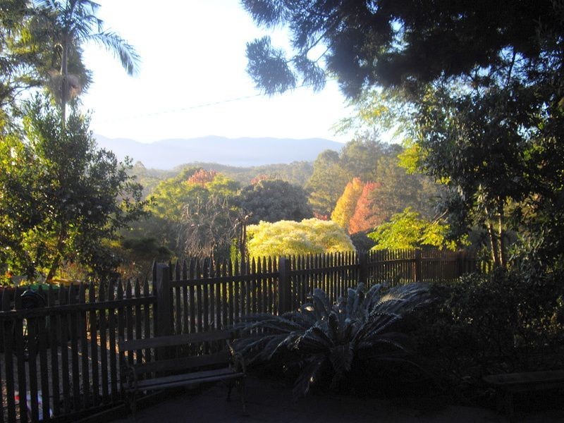 Bellingen NSW 2454