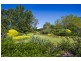 Bellingen NSW 2454