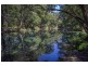 Bellingen NSW 2454