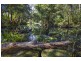 Bellingen NSW 2454